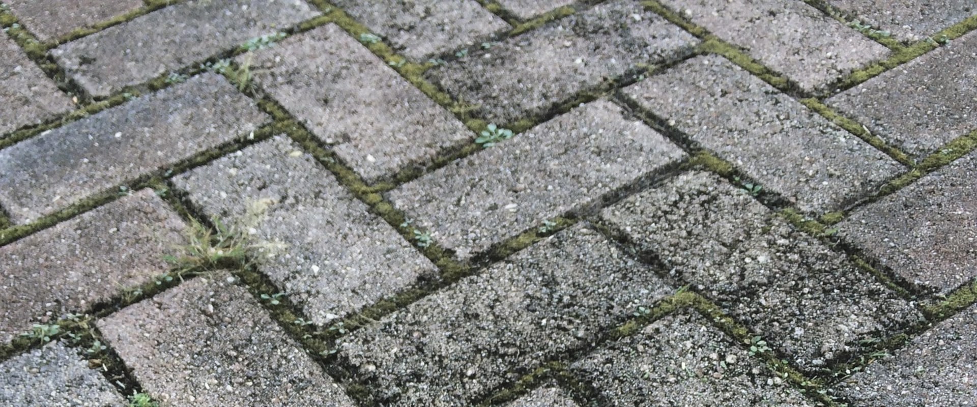 Elevate Your Home with Professional Hardscape Construction