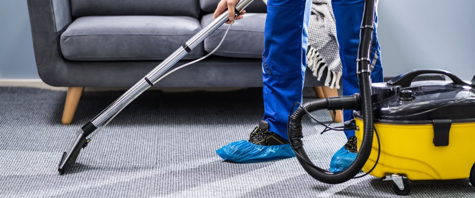 Home Renovation In Rochester: How A Carpet Cleaning Company Can Help?
