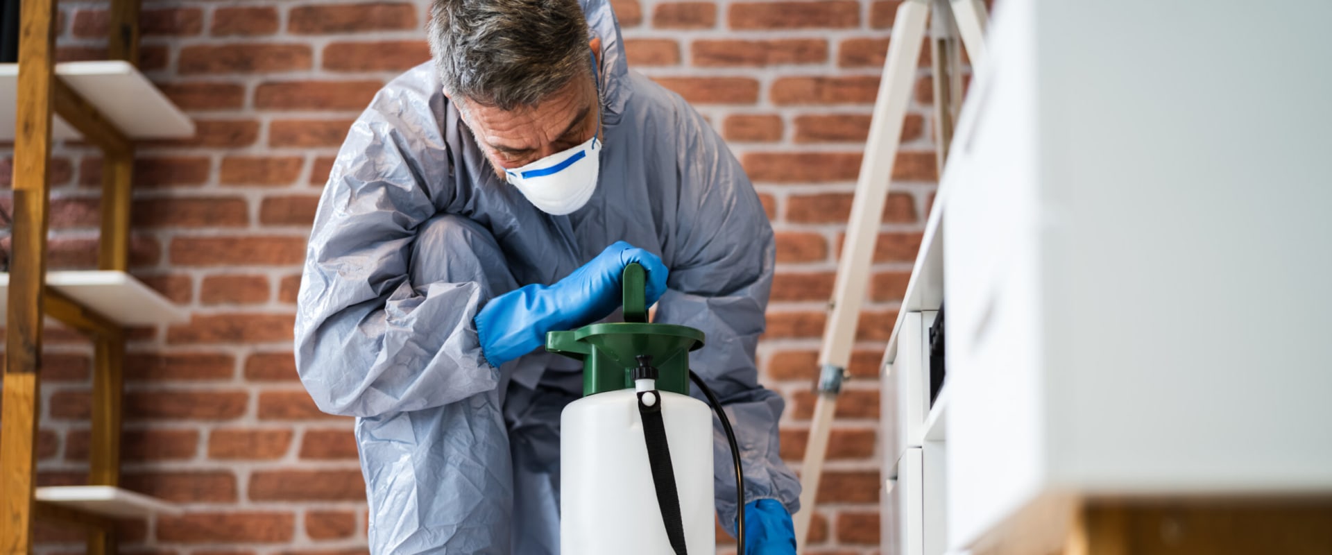 Preventing Bed Bug Spread During Home Renovation In Longwood, FL