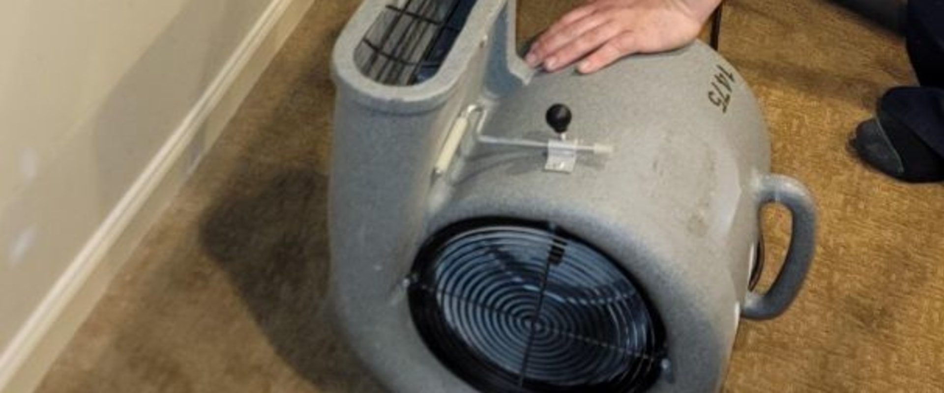 Protect Your Home: Water Damage Restoration in Edina