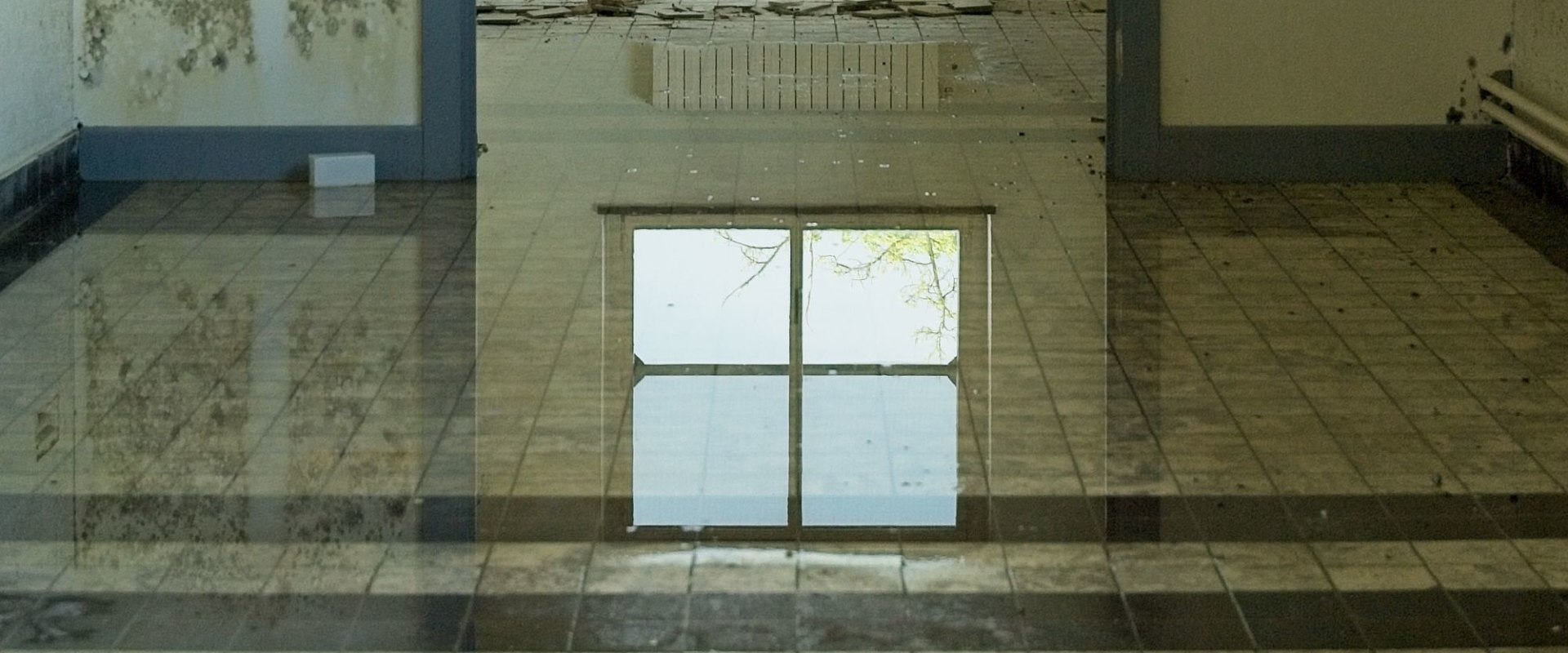 Address Water Damage Before Home Renovation in Portland