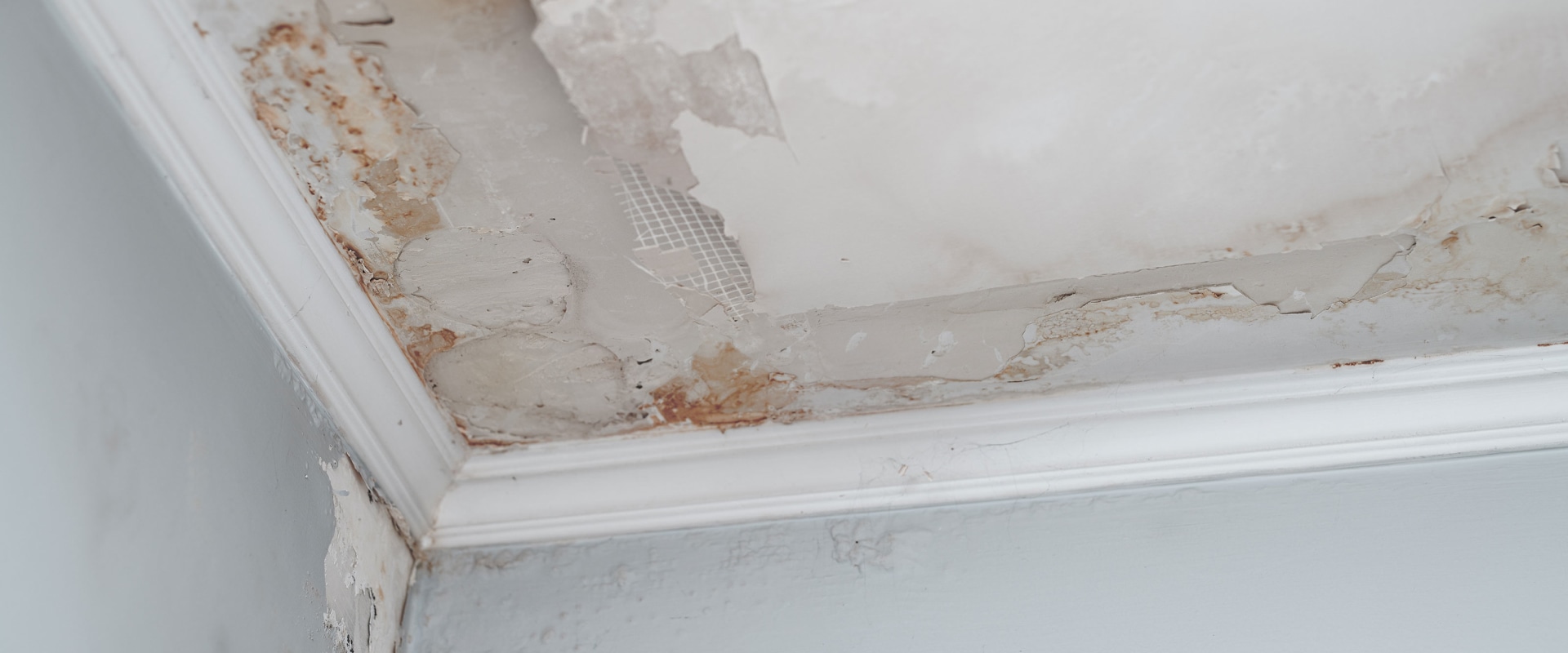 Pros Of Working With A Water Damage Restoration Company In Long Island For Renovating Your Home After Water Damage