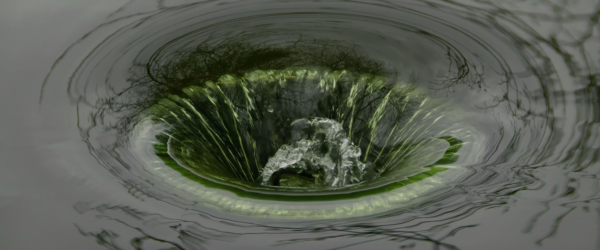 Protect Your Home Renovation with Drain Cleaning in Portland