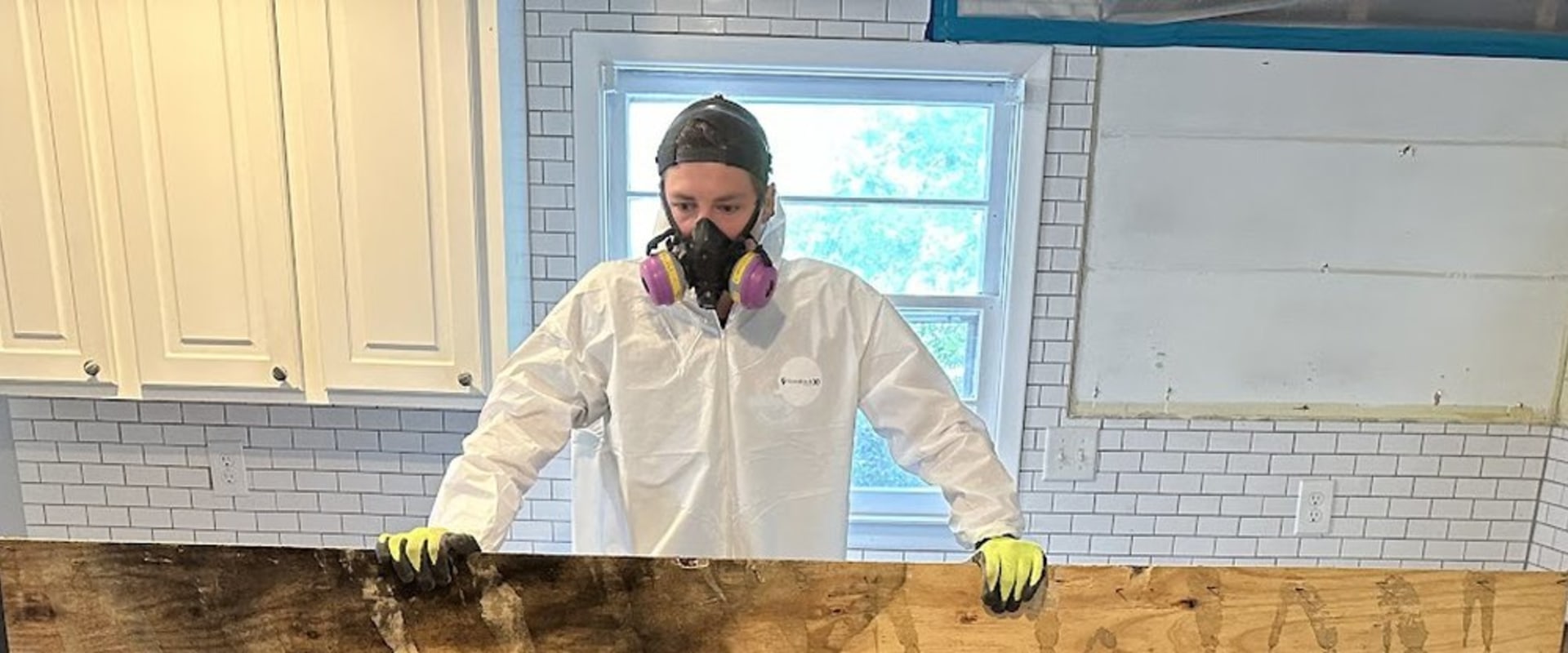 From Infested To Immaculate: Pest Control Essentials For Folly Beach Home Renovations