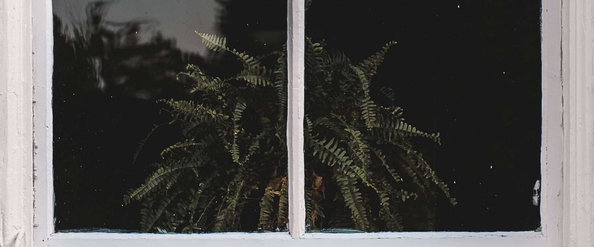 Enhance Your Home Renovation with Replacement Windows in Bradford