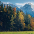Enhance Your Home with Tree Maintenance in Boone County