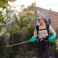 Pest Extermination In Greater Pittsburgh: A Must Before You Renovate