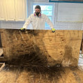 From Infested To Immaculate: Pest Control Essentials For Folly Beach Home Renovations