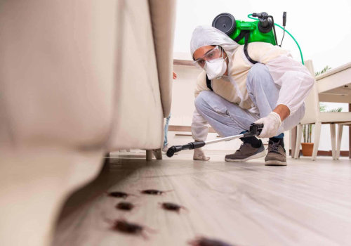 The Role Of Pest Control Services In Safe And Successful Home Renovations In Fayetteville