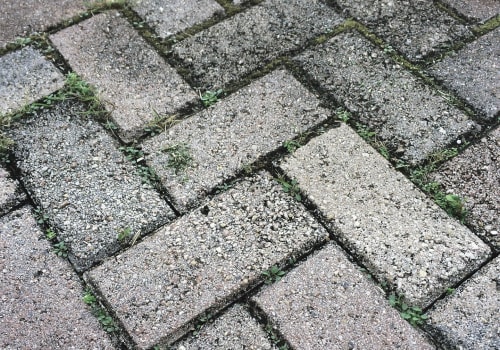 Elevate Your Home with Professional Hardscape Construction