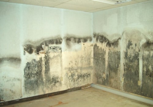 Why Mold Testing In Toms River, NJ, Is A Must During Home Renovation