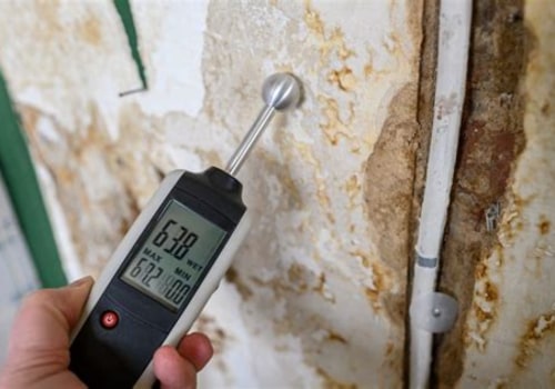 Protect Your Home Renovation With Moisture Assessment in St. Petersburg, FL