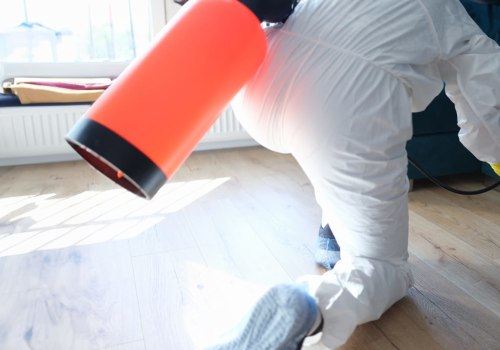 Safely Renovate Your Las Vegas Home with Expert Mold Removal