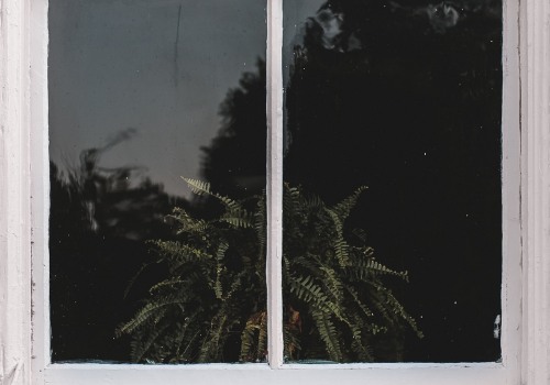 Enhance Your Home Renovation with Replacement Windows in Bradford